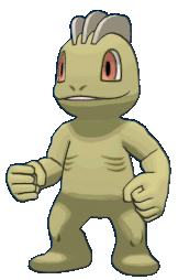 Image du pokemon Machoc